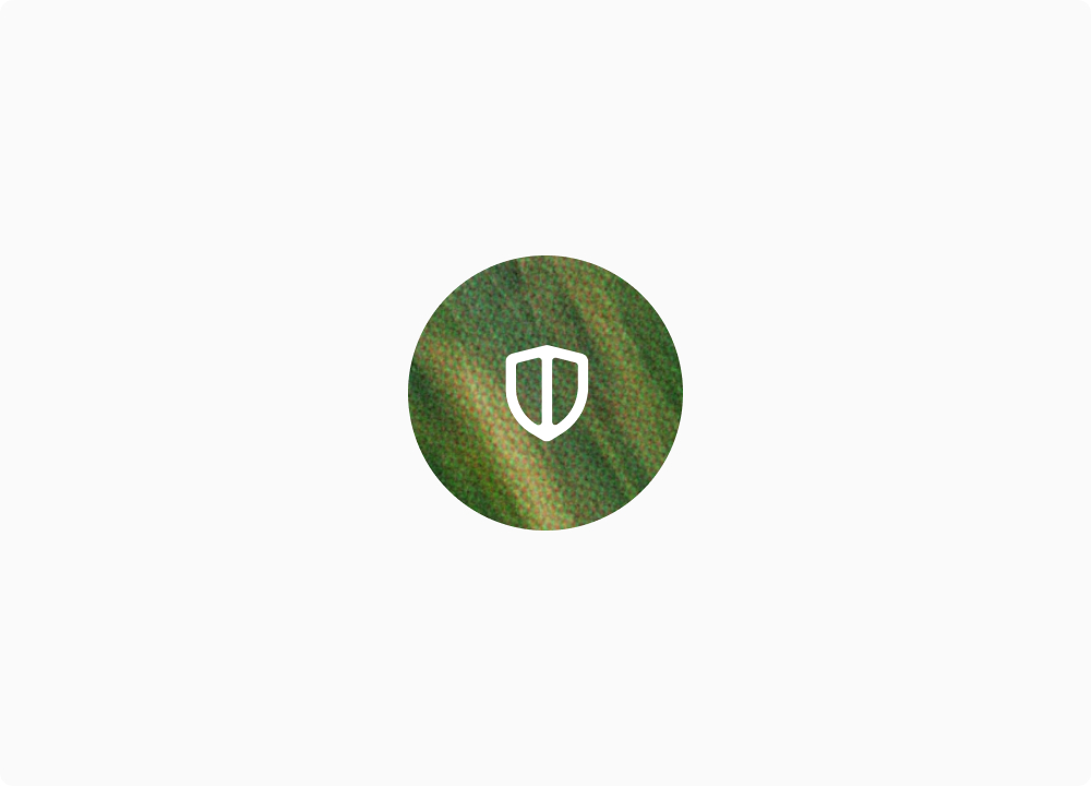 Shielded payment representing Natural's risk and fraud network