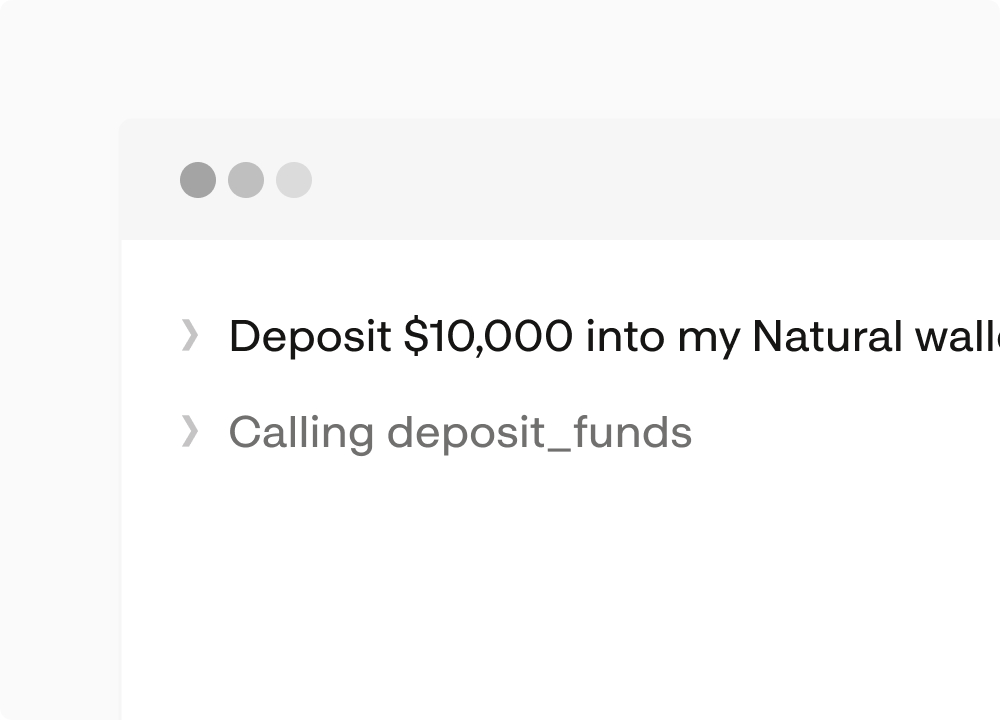 Terminal command depositing $10,000 into a Natural wallet